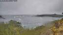 ./images/calvert/foggy-cove/20260528/foggy-cove20260528_131001M.jpg