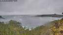./images/calvert/foggy-cove/20260528/foggy-cove20260528_131502M.jpg