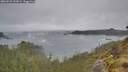 ./images/calvert/foggy-cove/20260528/foggy-cove20260528_132001M.jpg