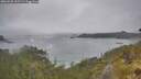 ./images/calvert/foggy-cove/20260528/foggy-cove20260528_132501M.jpg