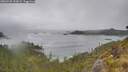 ./images/calvert/foggy-cove/20260528/foggy-cove20260528_133001M.jpg