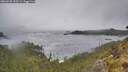 ./images/calvert/foggy-cove/20260528/foggy-cove20260528_133501M.jpg