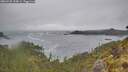 ./images/calvert/foggy-cove/20260528/foggy-cove20260528_134001M.jpg