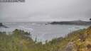 ./images/calvert/foggy-cove/20260528/foggy-cove20260528_135001M.jpg