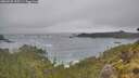 ./images/calvert/foggy-cove/20260528/foggy-cove20260528_135501M.jpg