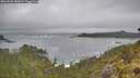 ./images/calvert/foggy-cove/20260528/foggy-cove20260528_141002M.jpg