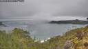 ./images/calvert/foggy-cove/20260528/foggy-cove20260528_142001M.jpg
