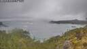 ./images/calvert/foggy-cove/20260528/foggy-cove20260528_142501M.jpg