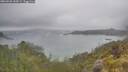 ./images/calvert/foggy-cove/20260528/foggy-cove20260528_143001M.jpg