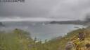 ./images/calvert/foggy-cove/20260528/foggy-cove20260528_143502M.jpg