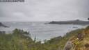 ./images/calvert/foggy-cove/20260528/foggy-cove20260528_144501M.jpg