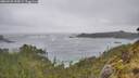 ./images/calvert/foggy-cove/20260528/foggy-cove20260528_145001M.jpg