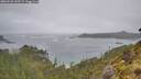 ./images/calvert/foggy-cove/20260528/foggy-cove20260528_145501M.jpg