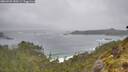 ./images/calvert/foggy-cove/20260528/foggy-cove20260528_150501M.jpg