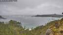 ./images/calvert/foggy-cove/20260528/foggy-cove20260528_151002M.jpg