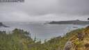 ./images/calvert/foggy-cove/20260528/foggy-cove20260528_151501M.jpg