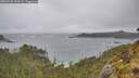 ./images/calvert/foggy-cove/20260528/foggy-cove20260528_152001M.jpg