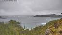 ./images/calvert/foggy-cove/20260528/foggy-cove20260528_152501M.jpg