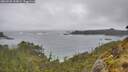 ./images/calvert/foggy-cove/20260528/foggy-cove20260528_153002M.jpg