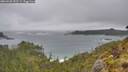 ./images/calvert/foggy-cove/20260528/foggy-cove20260528_153501M.jpg