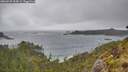 ./images/calvert/foggy-cove/20260528/foggy-cove20260528_154001M.jpg