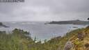 ./images/calvert/foggy-cove/20260528/foggy-cove20260528_154501M.jpg