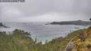 ./images/calvert/foggy-cove/20260528/foggy-cove20260528_155002M.jpg