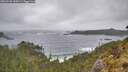 ./images/calvert/foggy-cove/20260528/foggy-cove20260528_160501M.jpg