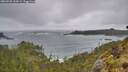 ./images/calvert/foggy-cove/20260528/foggy-cove20260528_161001M.jpg
