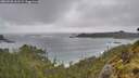 ./images/calvert/foggy-cove/20260528/foggy-cove20260528_161501M.jpg