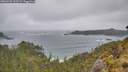 ./images/calvert/foggy-cove/20260528/foggy-cove20260528_162501M.jpg