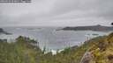 ./images/calvert/foggy-cove/20260528/foggy-cove20260528_163001M.jpg