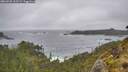./images/calvert/foggy-cove/20260528/foggy-cove20260528_163502M.jpg