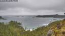 ./images/calvert/foggy-cove/20260528/foggy-cove20260528_164001M.jpg