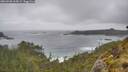 ./images/calvert/foggy-cove/20260528/foggy-cove20260528_164501M.jpg