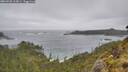 ./images/calvert/foggy-cove/20260528/foggy-cove20260528_165001M.jpg
