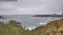 ./images/calvert/foggy-cove/20260528/foggy-cove20260528_165502M.jpg