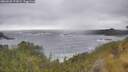 ./images/calvert/foggy-cove/20260528/foggy-cove20260528_172001M.jpg