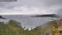 ./images/calvert/foggy-cove/20260528/foggy-cove20260528_172502M.jpg