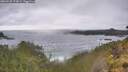 ./images/calvert/foggy-cove/20260528/foggy-cove20260528_173001M.jpg