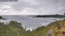 ./images/calvert/foggy-cove/20260528/foggy-cove20260528_174001M.jpg