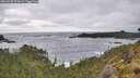./images/calvert/foggy-cove/20260528/foggy-cove20260528_174501M.jpg