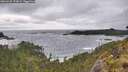 ./images/calvert/foggy-cove/20260528/foggy-cove20260528_175002M.jpg