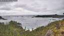 ./images/calvert/foggy-cove/20260528/foggy-cove20260528_175501M.jpg