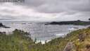 ./images/calvert/foggy-cove/20260528/foggy-cove20260528_180001M.jpg
