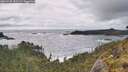 ./images/calvert/foggy-cove/20260528/foggy-cove20260528_181501M.jpg