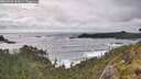 ./images/calvert/foggy-cove/20260528/foggy-cove20260528_182001M.jpg