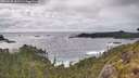 ./images/calvert/foggy-cove/20260528/foggy-cove20260528_182501M.jpg