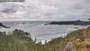 ./images/calvert/foggy-cove/20260528/foggy-cove20260528_183001M.jpg