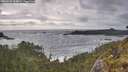 ./images/calvert/foggy-cove/20260528/foggy-cove20260528_184001M.jpg
